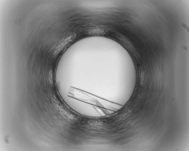 X0000099400729200805291209