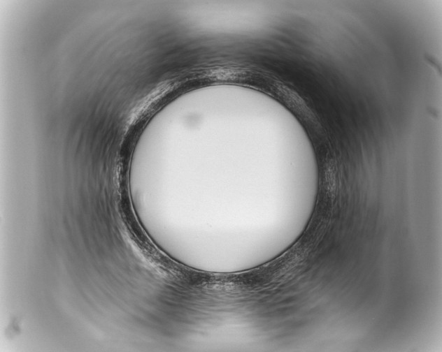 X0000099400730200805291210