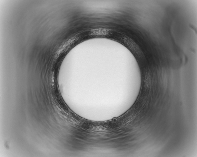 X0000099400731200805291210