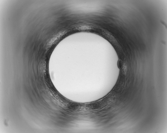 X0000099400732200805291210