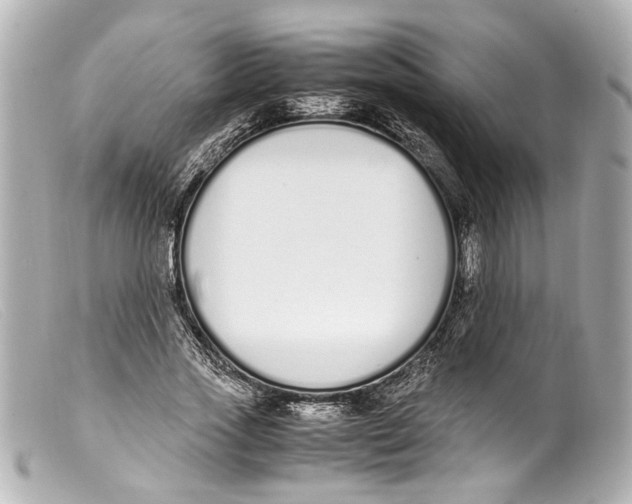 X0000099400733200805291210