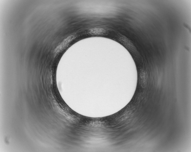 X0000099400734200805291210