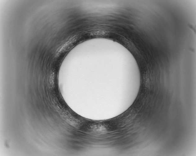 X0000099400735200805291210