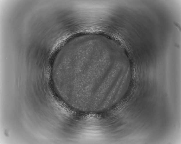 X0000099400736200805291210