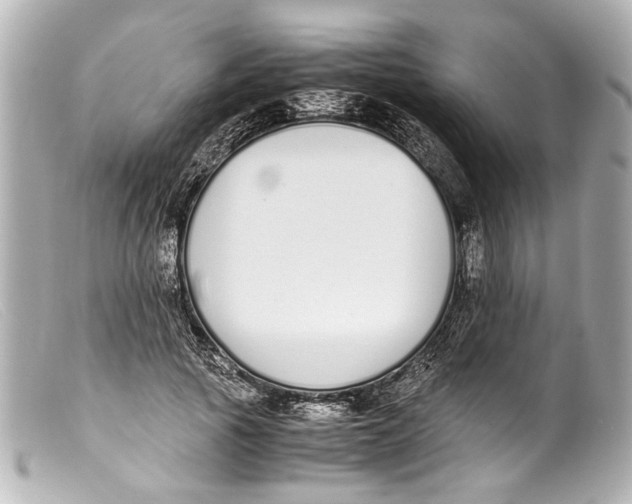 X0000099400737200805291210