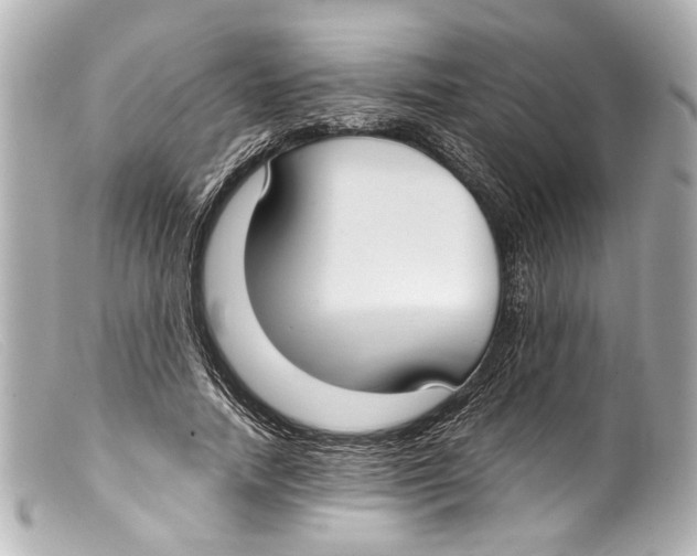 X0000099400738200805291210