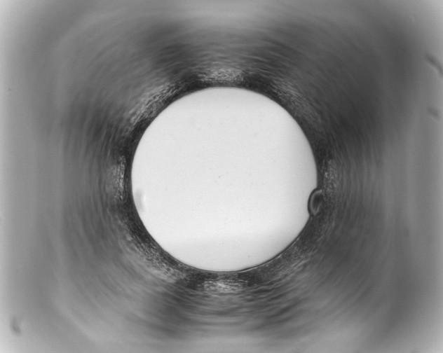 X0000099400739200805291210