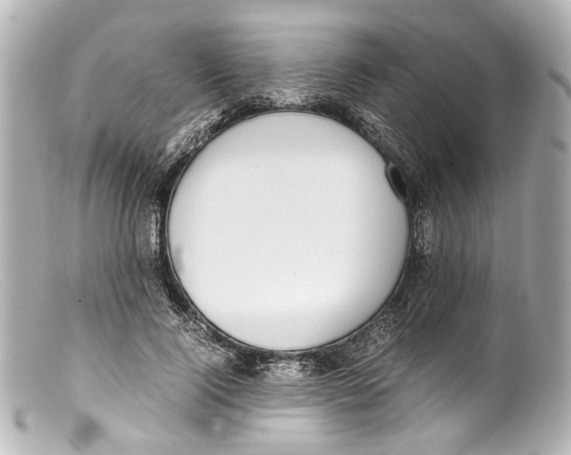 X0000099400740200805291210