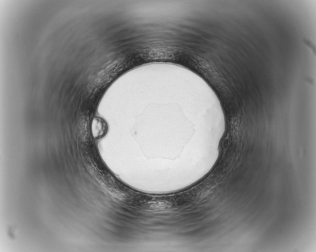 X0000099400741200805291210