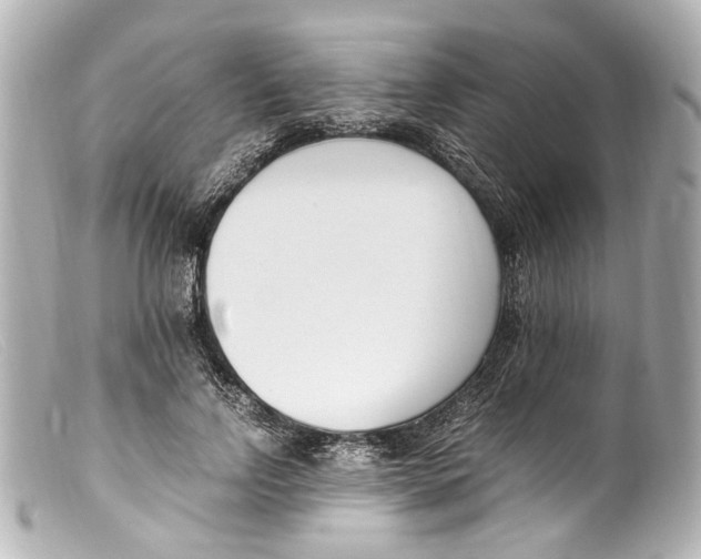 X0000099400742200805291210