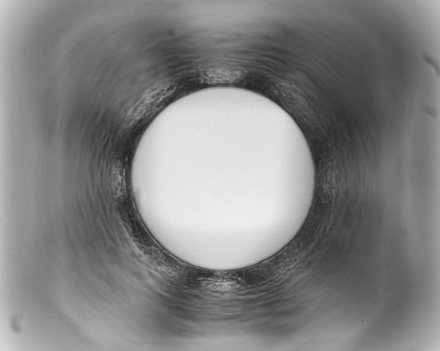 X0000099400743200805291210