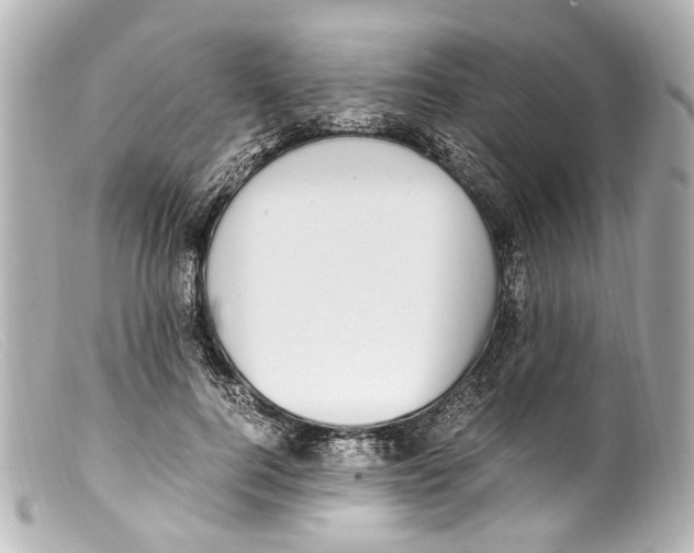 X0000099400744200805291210