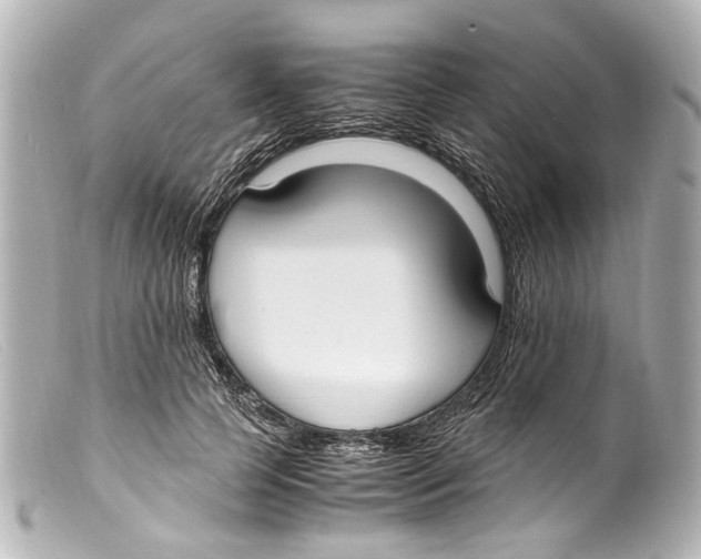 X0000099400745200805291210