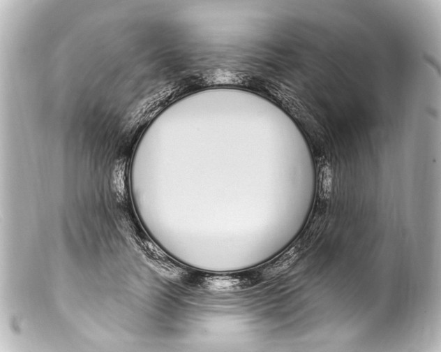 X0000099400746200805291210