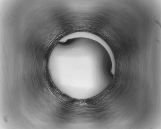 X0000099400747200805291210