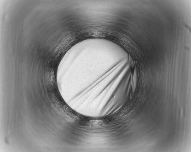 X0000099400748200805291210