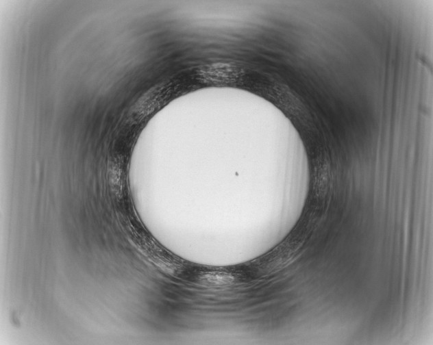 X0000099400749200805291210