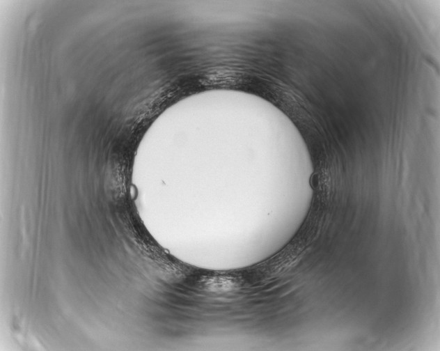 X0000099400751200805291210