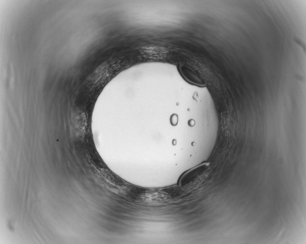 X0000099400752200805291210