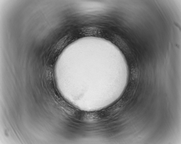 X0000099400753200805291210