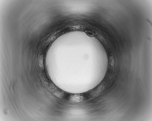 X0000099400754200805291210