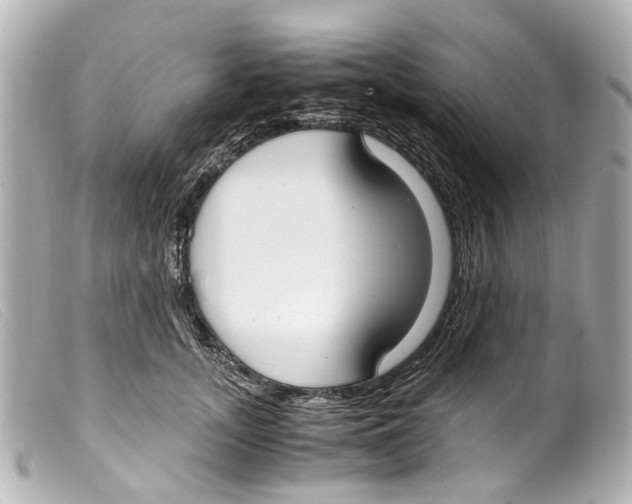 X0000099400755200805291210