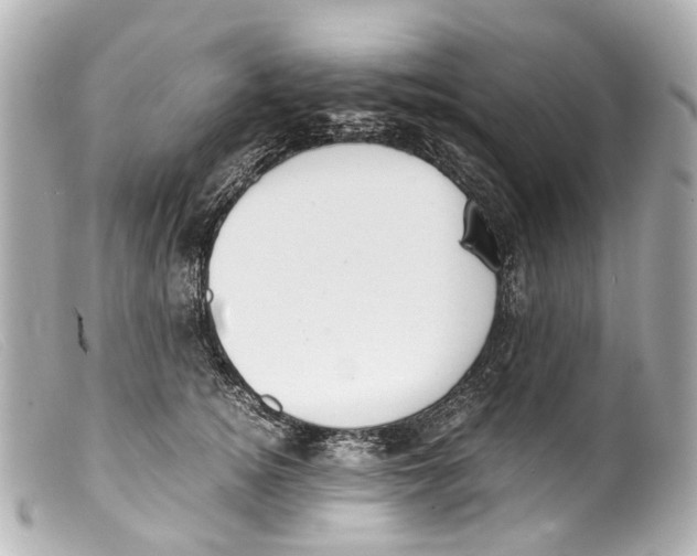 X0000099400756200805291210