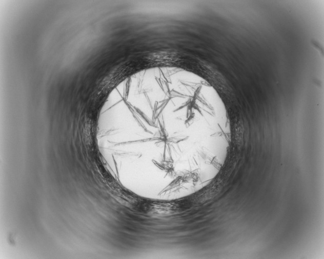 X0000099400757200805291210