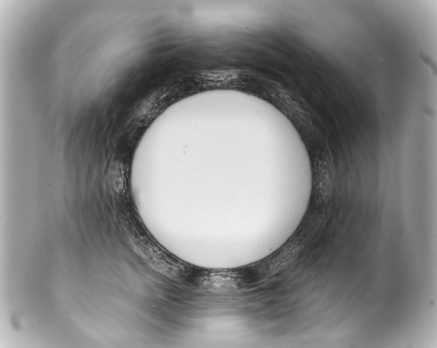 X0000099400758200805291210