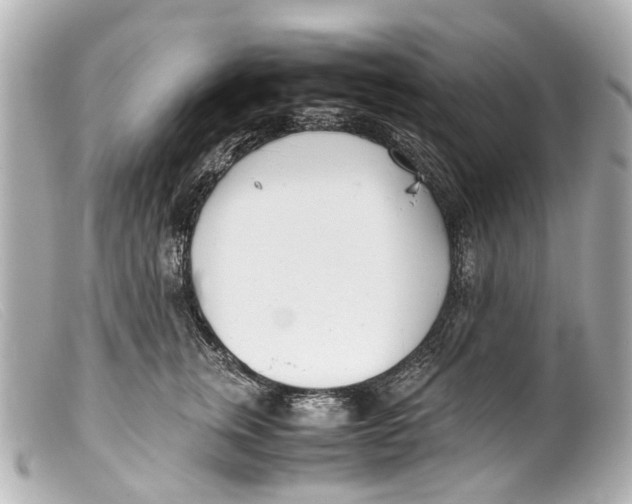 X0000099400759200805291210