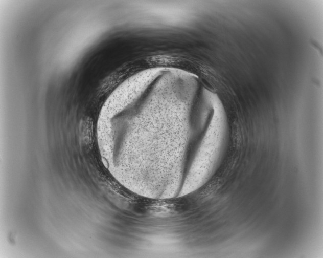 X0000099400760200805291210