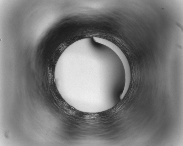 X0000099400761200805291210