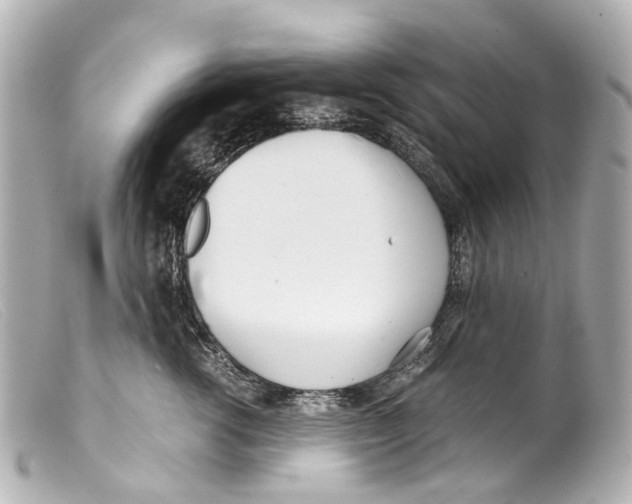 X0000099400762200805291210