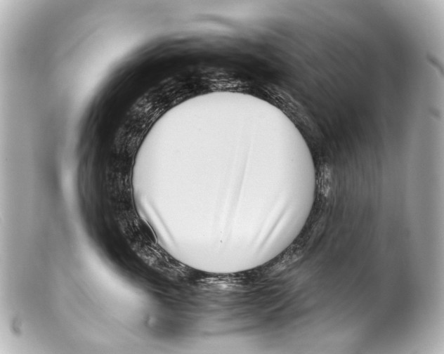 X0000099400763200805291210