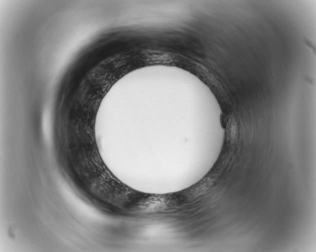 X0000099400764200805291210