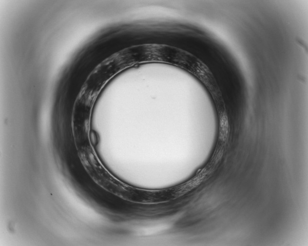 X0000099400765200805291210