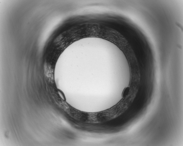 X0000099400766200805291210