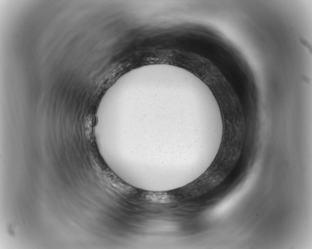 X0000099400767200805291210