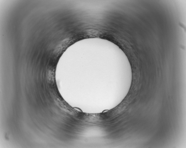 X0000099400768200805291210