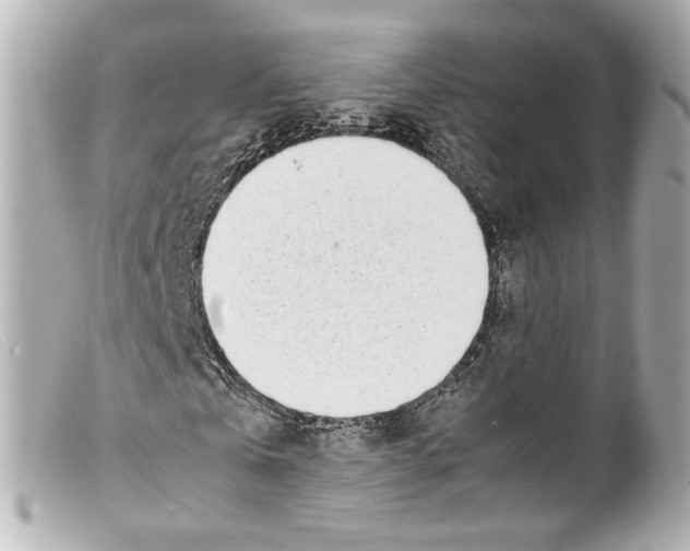 X0000099400769200805291209