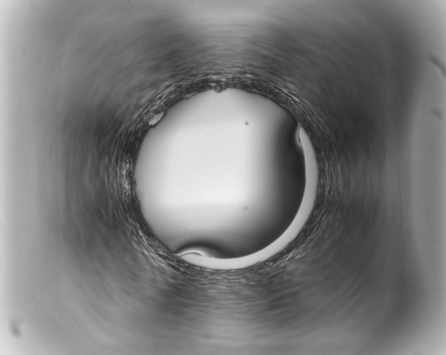 X0000099400770200805291209