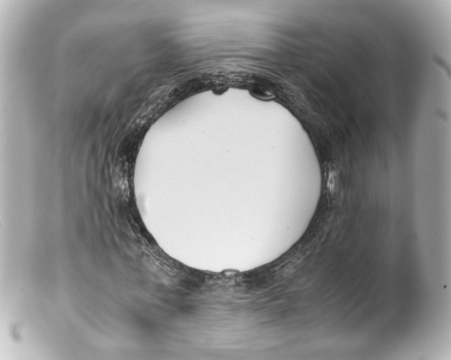 X0000099400771200805291209