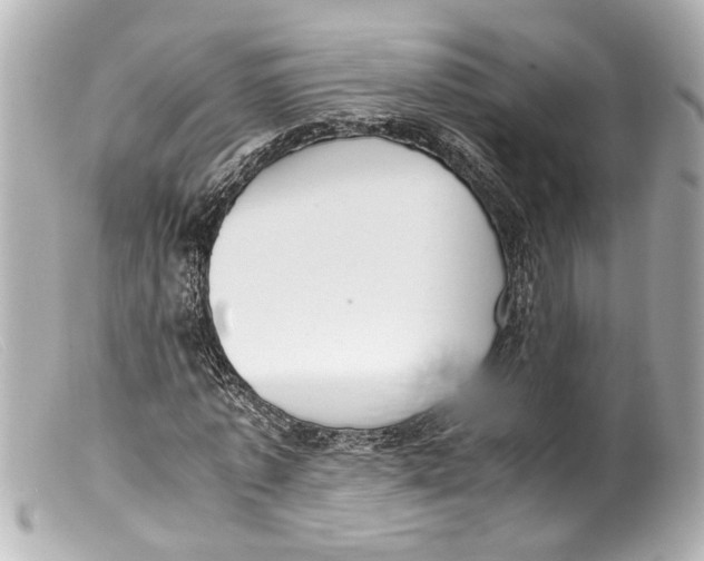 X0000099400773200805291209