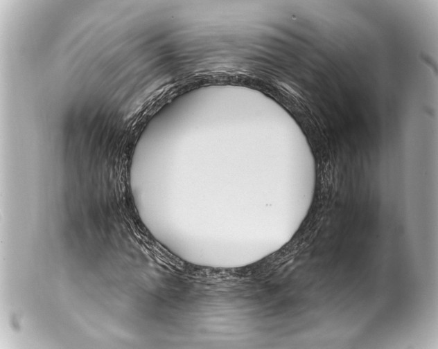 X0000099400774200805291209