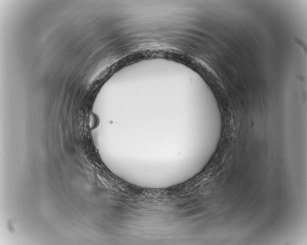 X0000099400775200805291209