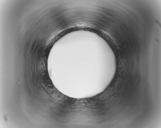 X0000099400776200805291209