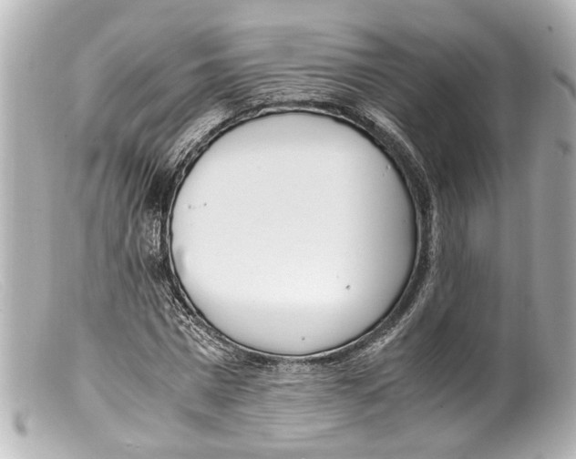 X0000099400777200805291209