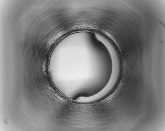 X0000099400778200805291209