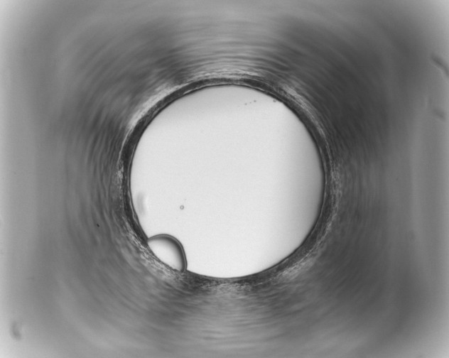 X0000099400779200805291209