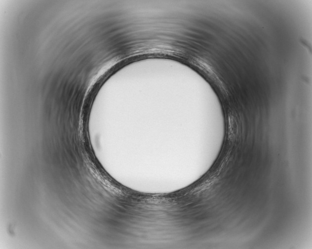 X0000099400780200805291209